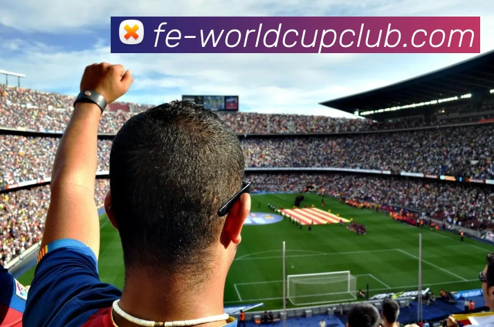 世界杯官方投注平台生态图